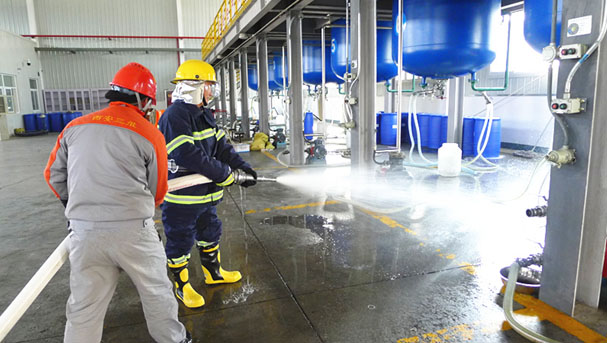 我公司组织2019年第一季度消防演练工作(图3)